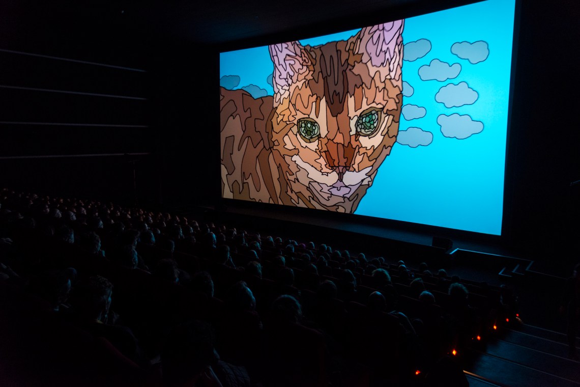 140217_hv__0089-shorts-iv-call-of-cuteness