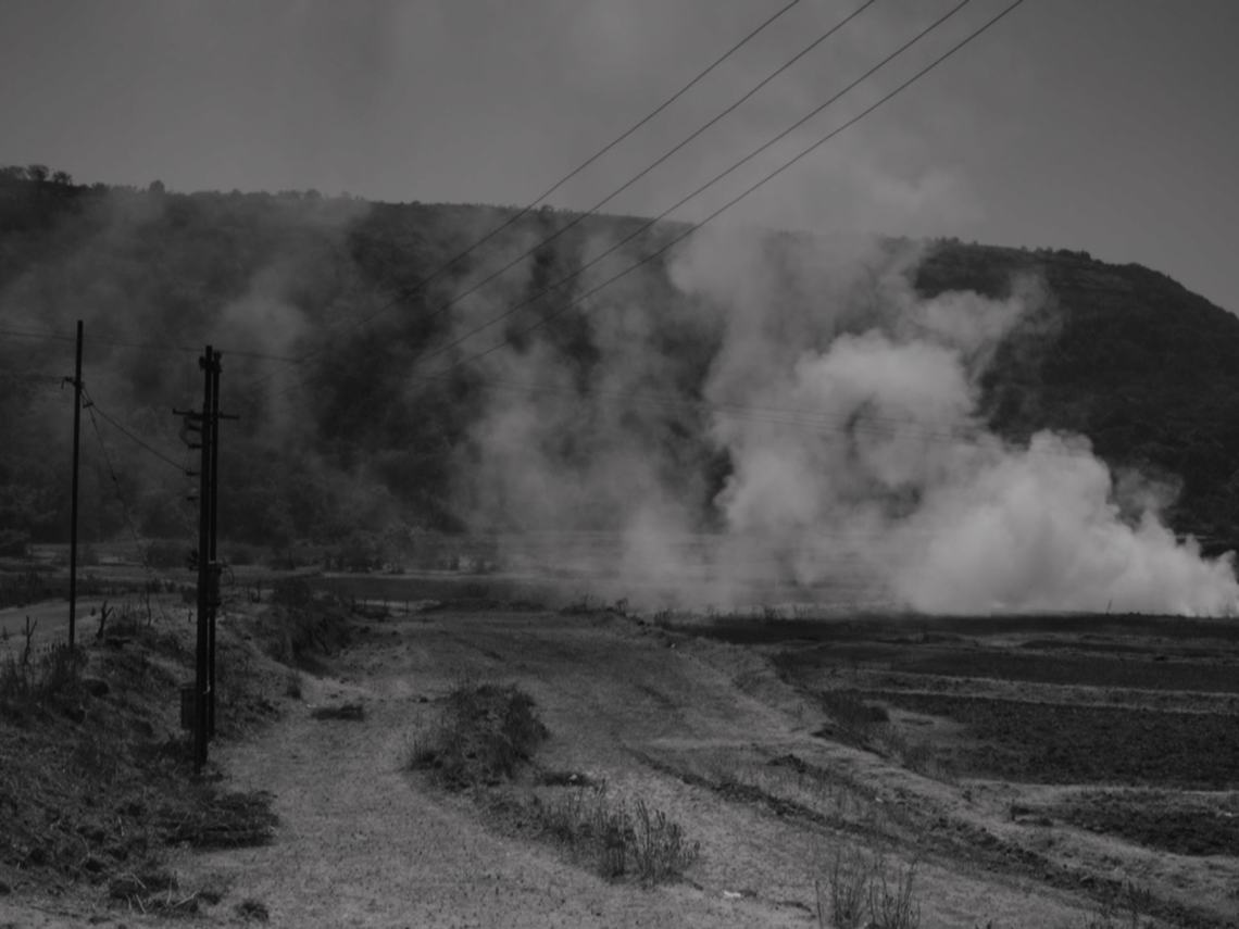 still And What Is the Summer Saying